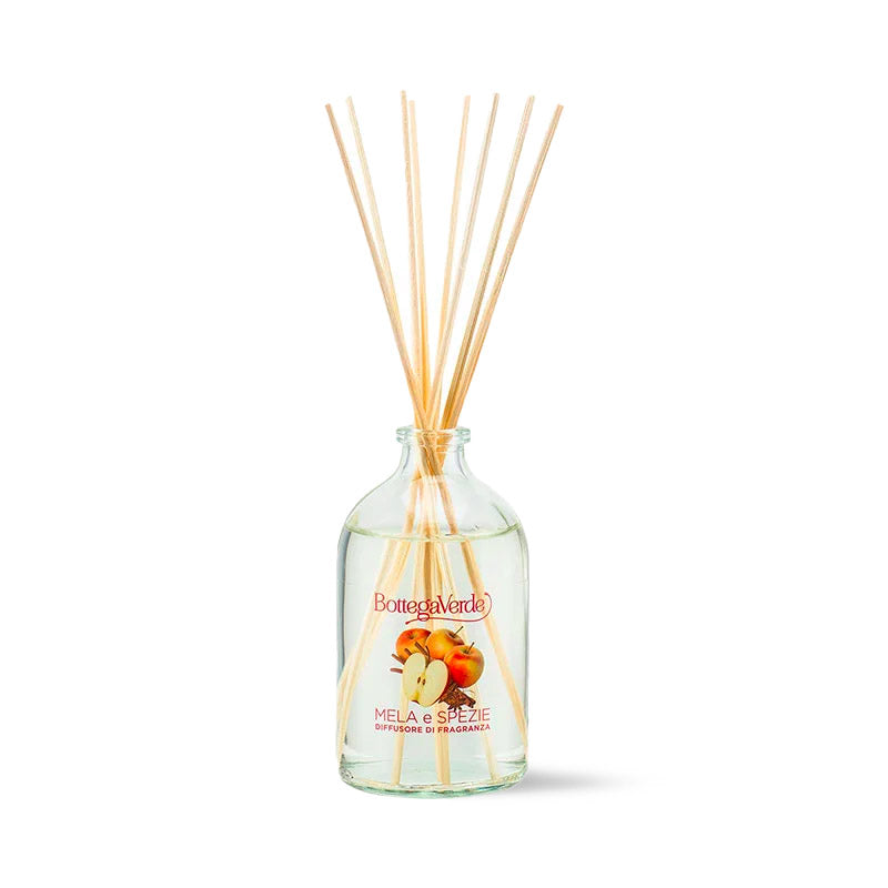 Perfumes para a Casa com Bastões Aromáticos Mela e Spezie 100ml